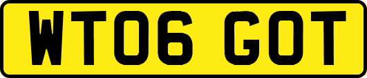 WT06GOT