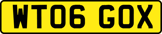 WT06GOX