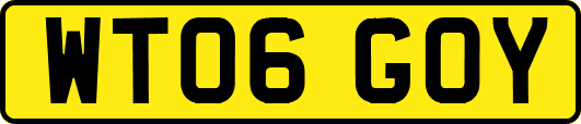 WT06GOY