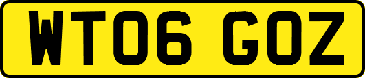WT06GOZ