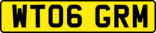 WT06GRM