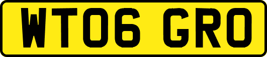 WT06GRO