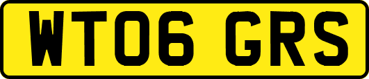 WT06GRS