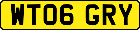 WT06GRY