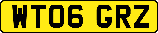 WT06GRZ