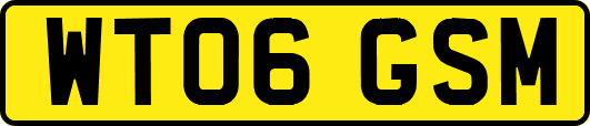 WT06GSM
