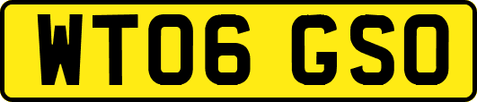 WT06GSO