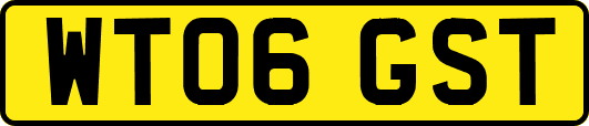 WT06GST