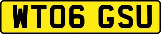WT06GSU
