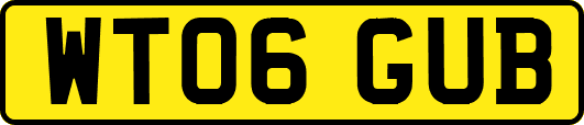 WT06GUB