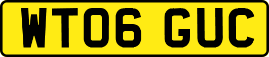 WT06GUC
