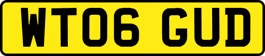 WT06GUD