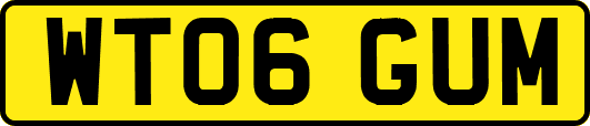 WT06GUM