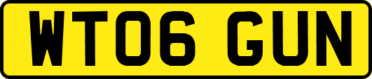 WT06GUN
