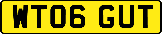 WT06GUT
