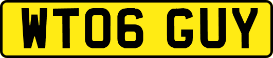 WT06GUY