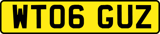 WT06GUZ