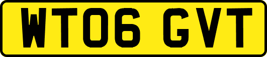 WT06GVT