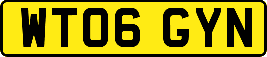 WT06GYN