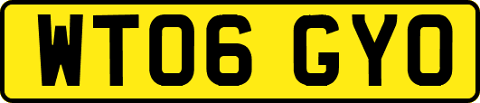 WT06GYO