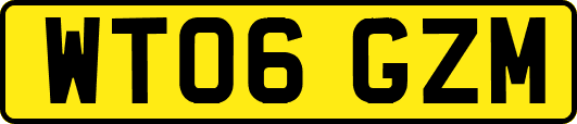 WT06GZM