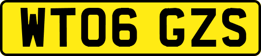 WT06GZS
