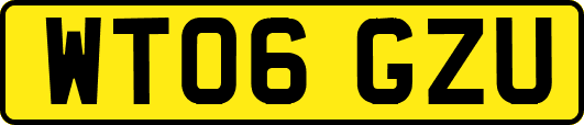 WT06GZU