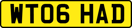 WT06HAD