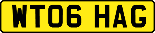 WT06HAG