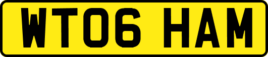 WT06HAM