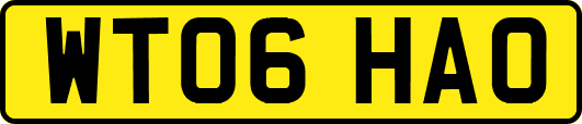 WT06HAO