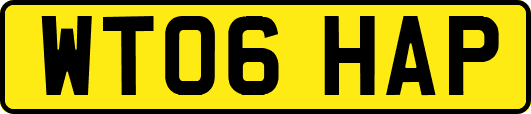 WT06HAP