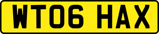 WT06HAX