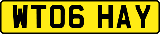 WT06HAY