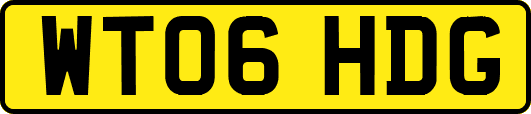 WT06HDG