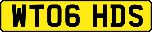 WT06HDS