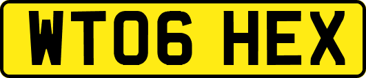 WT06HEX