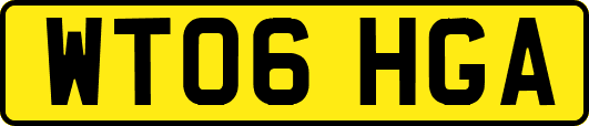 WT06HGA