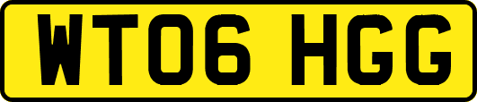 WT06HGG
