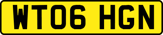 WT06HGN