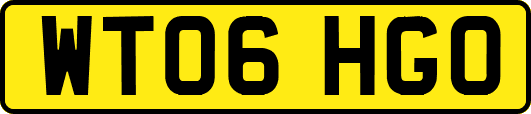 WT06HGO