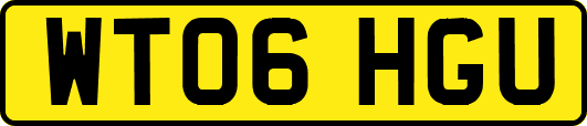 WT06HGU