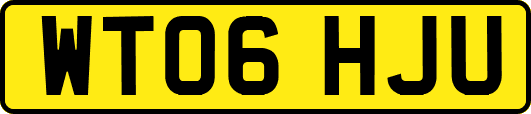 WT06HJU