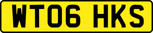 WT06HKS