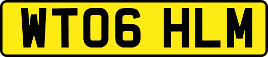WT06HLM