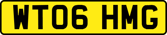 WT06HMG