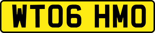 WT06HMO