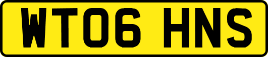 WT06HNS