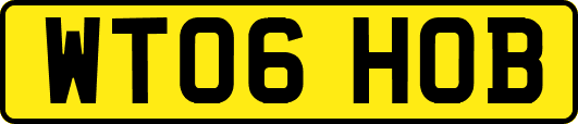 WT06HOB
