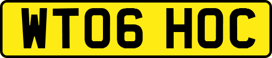 WT06HOC